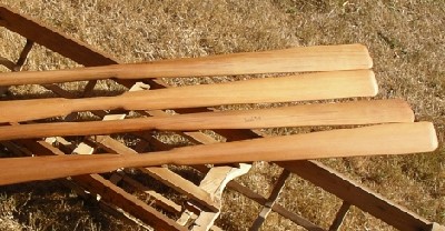 greenland stick