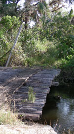 bridge
