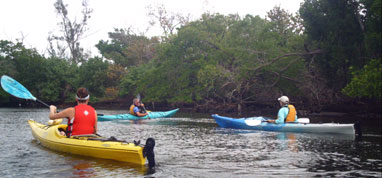 paddlers