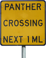 panther