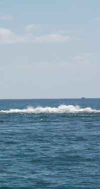 wave